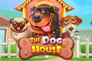 The Dog House